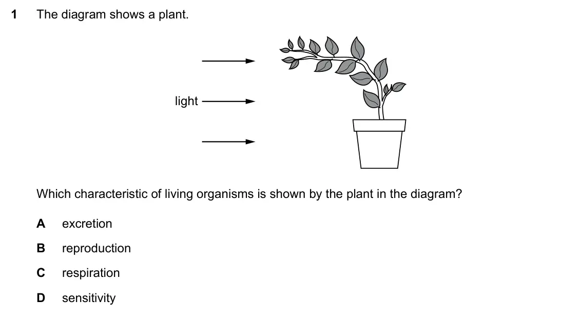 Specimen Paper 1, question 1: The diagram shows a plant. light Which characteristic of living organisms is shown by the plant in the diagram? A excretion B reproduction C respiration D sensi