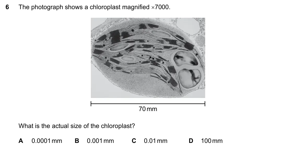 Specimen Paper 1, question 6: The photograph shows a chloroplast magnified ×7000. 70 mm What is the actual size of the chloroplast? A 0.0001 mm B 0.001 mm C 0.01 mm D 100 mm