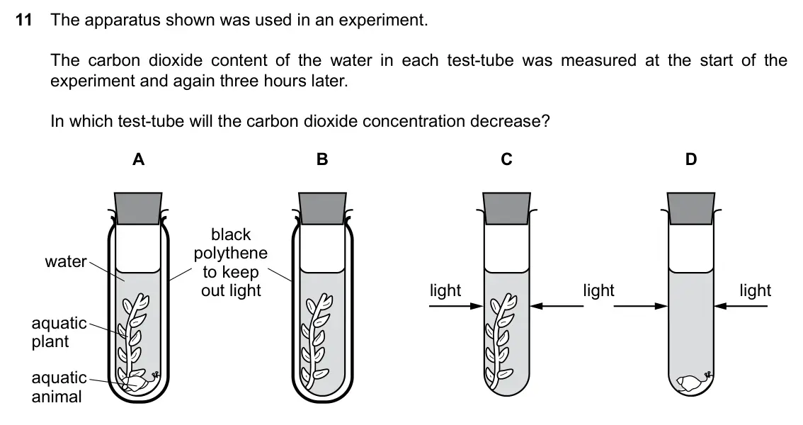 Specimen Paper 1, question 11: The apparatus shown was used in an experiment. The carbon dioxide content of the water in each test-tube was measured at the start of the experiment and again t