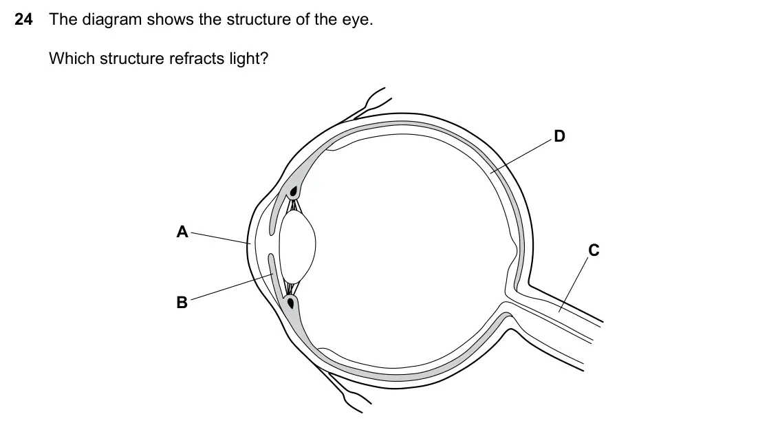 Specimen Paper 1, question 24: The diagram shows the structure of the eye. Which structure refracts light? D A C B