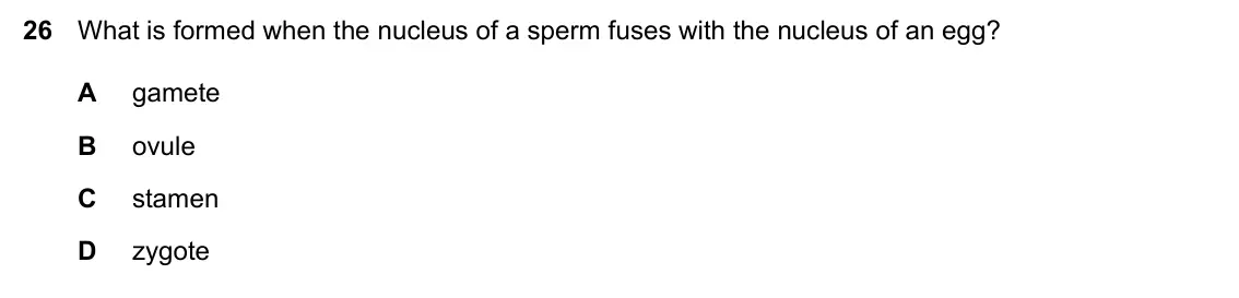 Specimen Paper 1, question 26: What is formed when the nucleus of a sperm fuses with the nucleus of an egg? A gamete B ovule C stamen D zygote