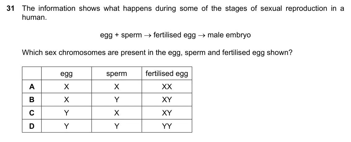 Specimen Paper 1, question 31: The information shows what happens during some of the stages of sexual reproduction in a human. egg + sperm → fertilised egg → male embryo Which sex chromosomes