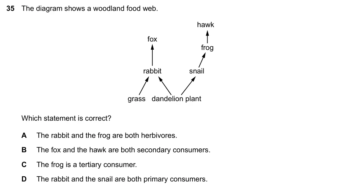 Specimen Paper 1, question 35: The diagram shows a woodland food web. hawk fox frog rabbit snail grass dandelion plant Which statement is correct? A The rabbit and the frog are both herbivore