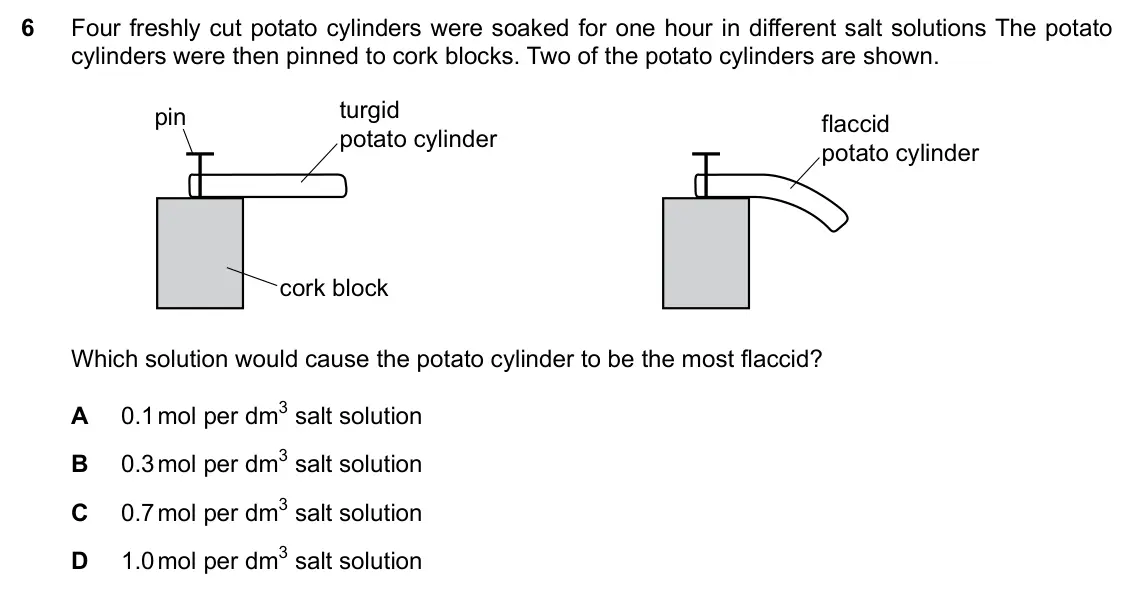 Specimen Paper 2, question 6: Four freshly cut potato cylinders were soaked for one hour in different salt solutions The potato cylinders were then pinned to cork blocks. Two of the potato c
