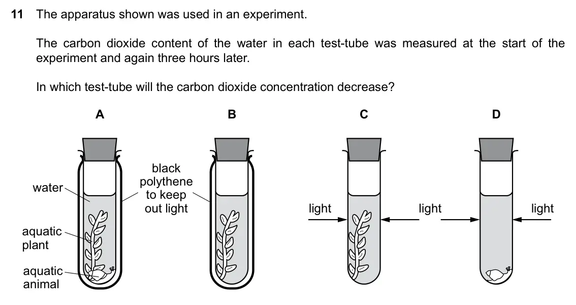 Specimen Paper 2, question 11: The apparatus shown was used in an experiment. The carbon dioxide content of the water in each test-tube was measured at the start of the experiment and again t