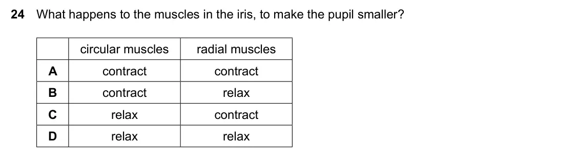 Specimen Paper 2, question 24: What happens to the muscles in the iris, to make the pupil smaller? circular muscles radial muscles A contract contract B contract relax C relax contract D rela