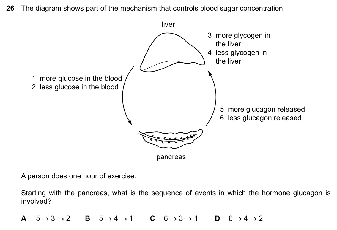 Specimen Paper 2, question 26: The diagram shows part of the mechanism that controls blood sugar concentration. liver 3 more glycogen in the liver 4 less glycogen in the liver 1 more glucose 