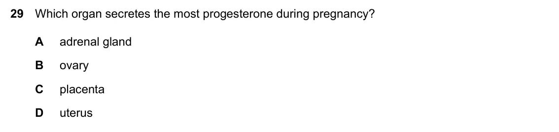 Specimen Paper 2, question 29: Which organ secretes the most progesterone during pregnancy? A adrenal gland B ovary C placenta D uterus