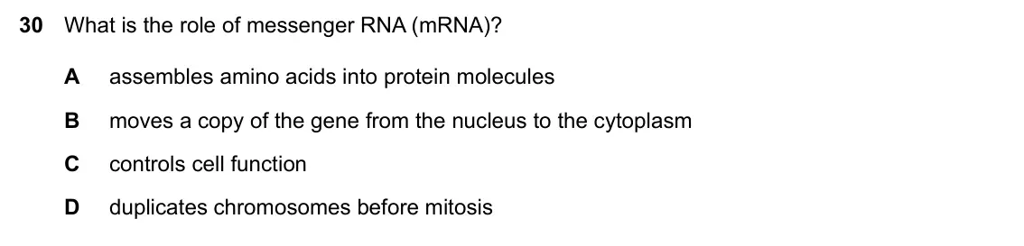 Specimen Paper 2, question 30: What is the role of messenger RNA (mRNA)? A assembles amino acids into protein molecules B moves a copy of the gene from the nucleus to the cytoplasm C controls
