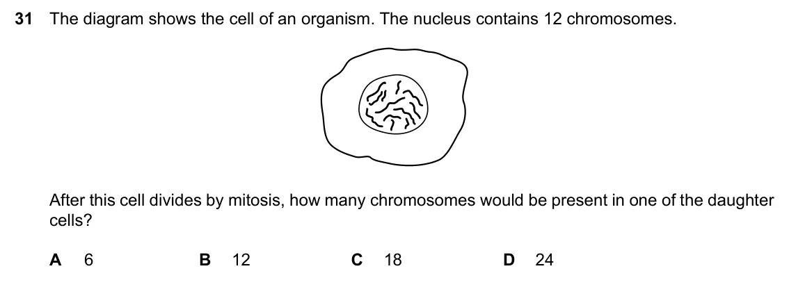 Specimen Paper 2, question 31: The diagram shows the cell of an organism. The nucleus contains 12 chromosomes. After this cell divides by mitosis, how many chromosomes would be present in one