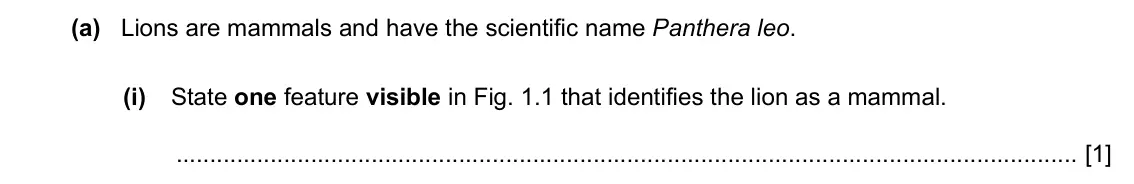 Specimen Paper 3, question 1(a)(i): State one feature visible in Fig. 1.1 that identifies the lion as a mammal. [1]