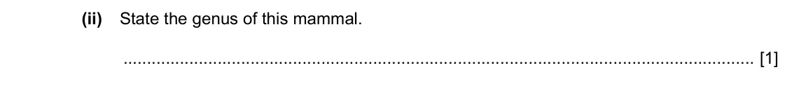 Specimen Paper 3, question 1(a)(ii): State the genus of this mammal. [1]