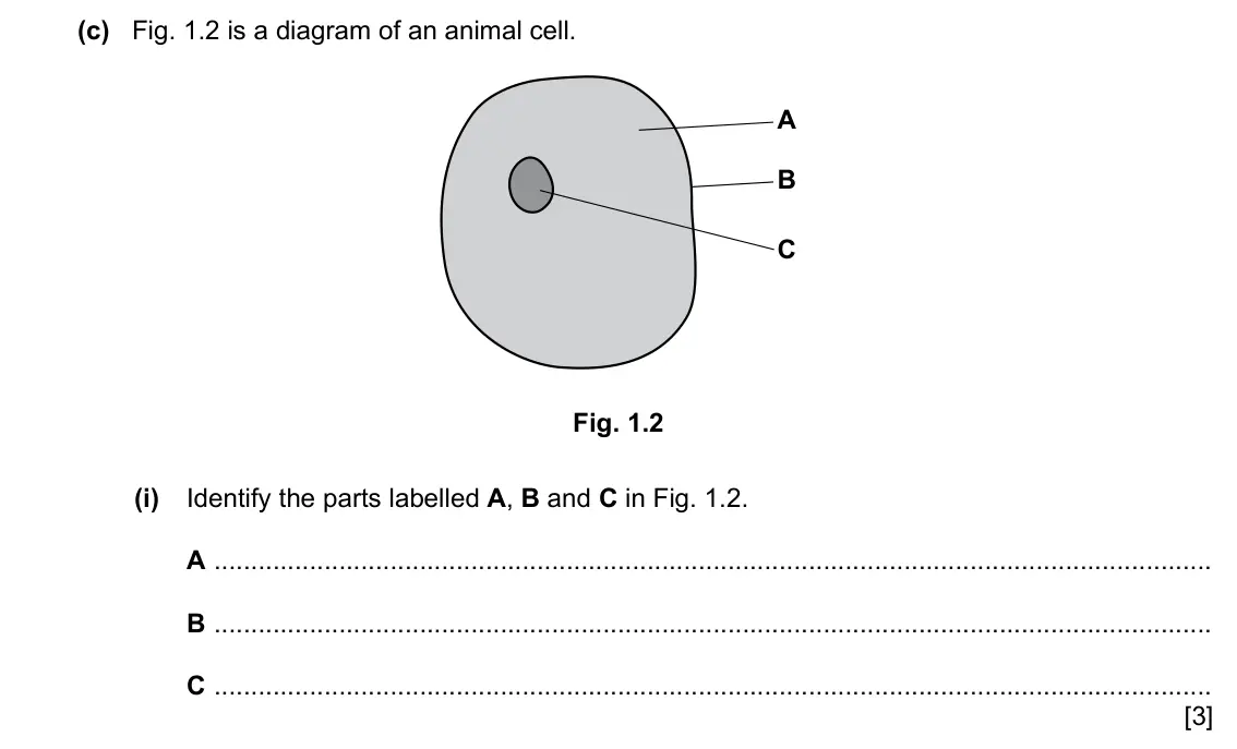 Specimen Paper 3, question 1(c)(i): Identify the parts labelled A, B and C in Fig. 1.2. A B C [3]