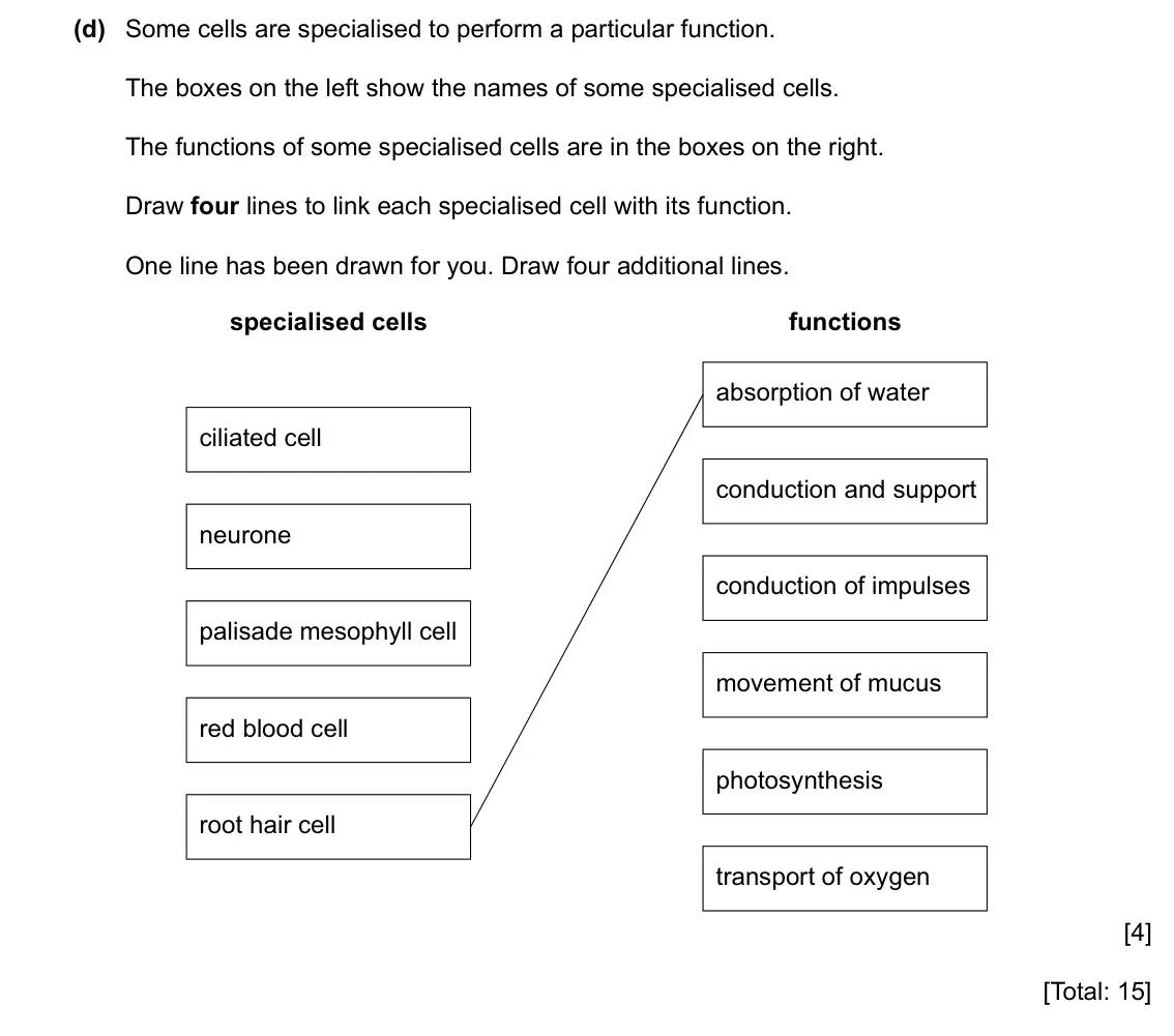 Specimen Paper 3, question 1(d): Some cells are specialised to perform a particular function. The boxes on the left show the names of some specialised cells. The functions of some specialised c