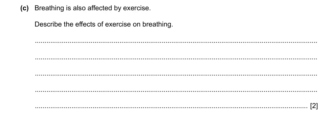 Specimen Paper 3, question 2(c): Breathing is also affected by exercise. Describe the effects of exercise on breathing. [2]