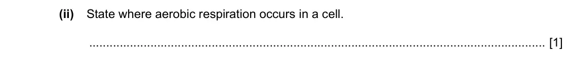 Specimen Paper 3, question 2(d)(ii): State where aerobic respiration occurs in a cell. [1]