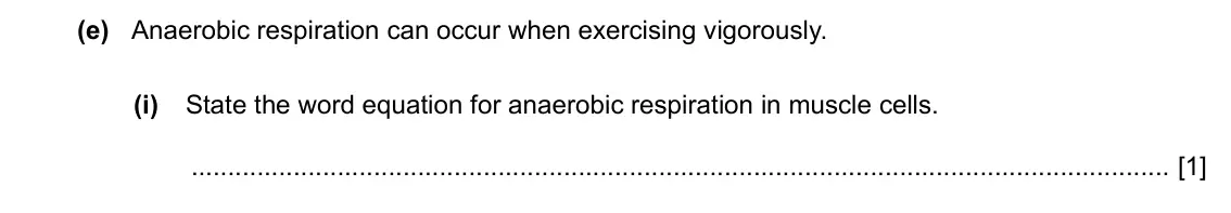 Specimen Paper 3, question 2(e)(i): State the word equation for anaerobic respiration in muscle cells. [1]