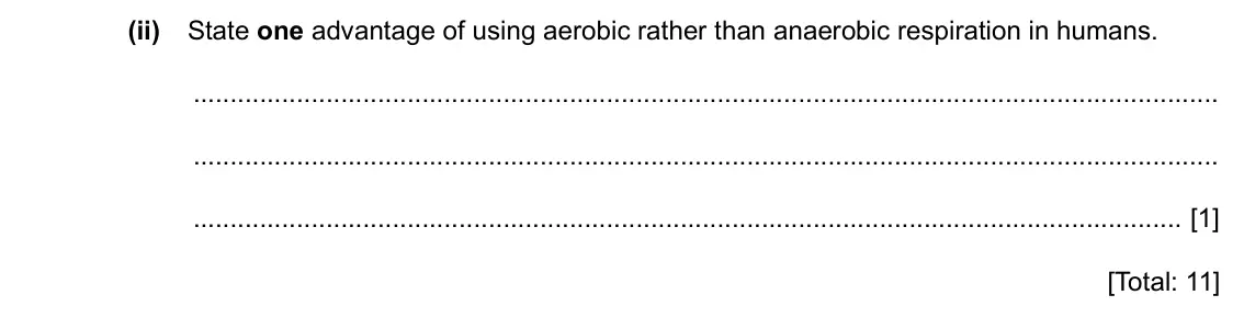 Specimen Paper 3, question 2(e)(ii): State one advantage of using aerobic rather than anaerobic respiration in humans. [1] [Total: 11]