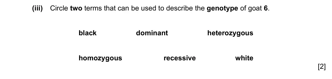 Specimen Paper 3, question 3(a)(iii): Circle two terms that can be used to describe the genotype of goat 6. black dominant heterozygous homozygous recessive white [2]