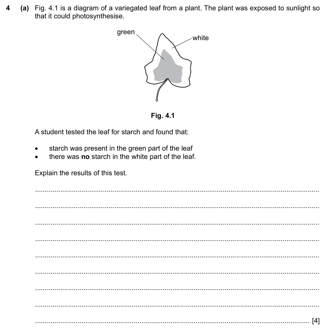 Specimen Paper 3, question 4(a): Fig. 4.1 is a diagram of a variegated leaf from a plant. The plant was exposed to sunlight so that it could photosynthesise. green white Fig. 4.1 A student test