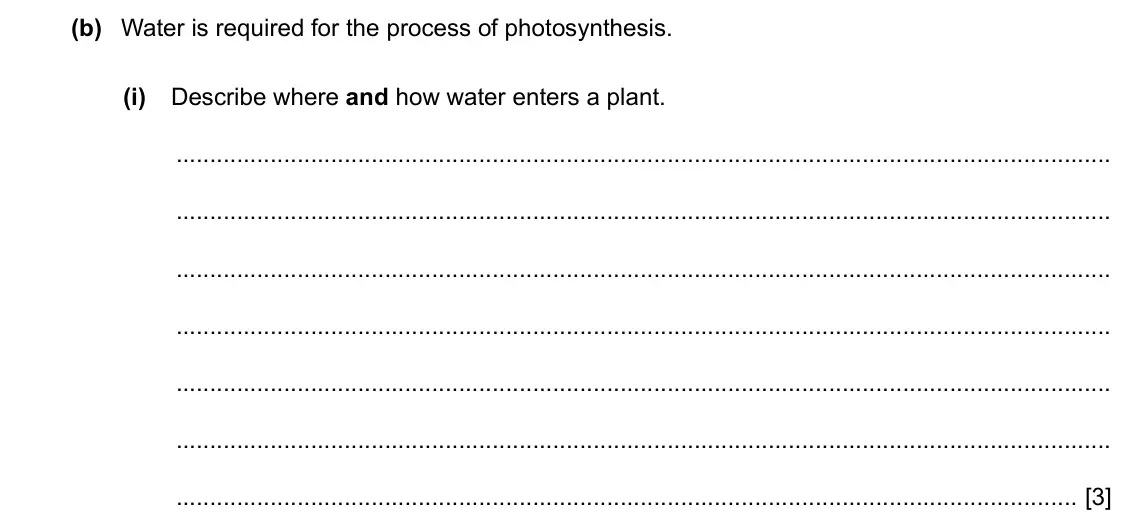 Specimen Paper 3, question 4(b)(i): Describe where and how water enters a plant. [3]