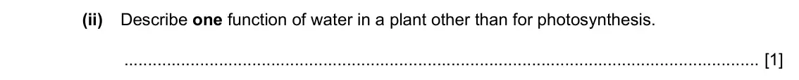 Specimen Paper 3, question 4(b)(ii): Describe one function of water in a plant other than for photosynthesis. [1]