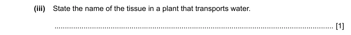 Specimen Paper 3, question 4(b)(iii): State the name of the tissue in a plant that transports water. [1]