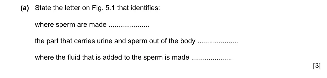 Specimen Paper 3, question 5(a): State the letter on Fig. 5.1 that identifies: where sperm are made the part that carries urine and sperm out of the body where the fluid that is added to the sp