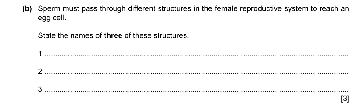 Specimen Paper 3, question 5(b): Sperm must pass through different structures in the female reproductive system to reach an egg cell. State the names of three of these structures. 1 2 3 [3]
