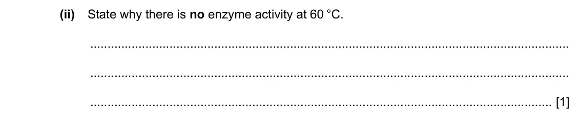 Specimen Paper 3, question 6(a)(ii): State why there is no enzyme activity at 60 °C. [1]