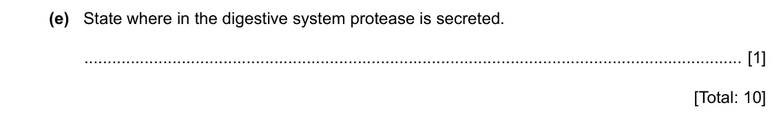 Specimen Paper 3, question 6(e): State where in the digestive system protease is secreted. [1] [Total: 10]