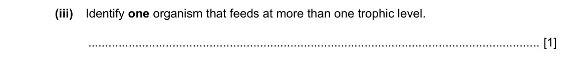 Specimen Paper 3, question 7(c)(iii): Identify one organism that feeds at more than one trophic level. [1]