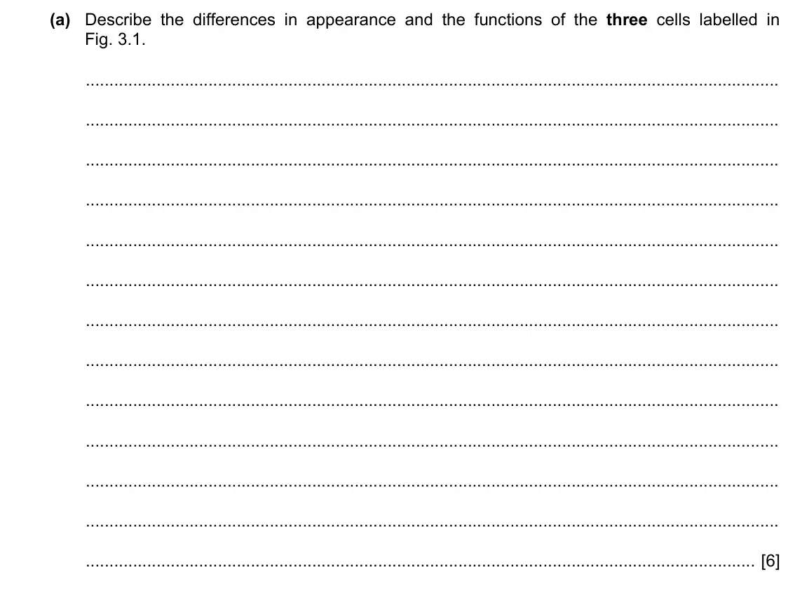 Specimen Paper 4, question 3(a): Describe the differences in appearance and the functions of the three cells labelled in Fig. 3.1. [6]