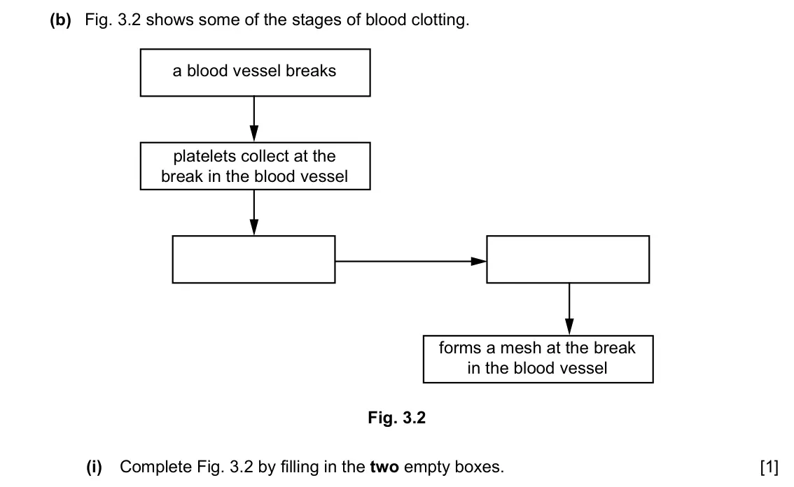 Specimen Paper 4, question 3(b)(i): Complete Fig. 3.2 by filling in the two empty boxes. [1]