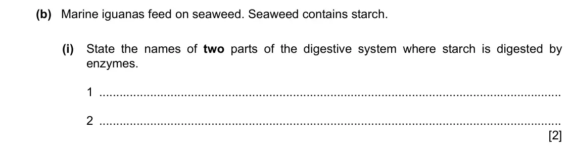 Specimen Paper 4, question 5(b)(i): State the names of two parts of the digestive system where starch is digested by enzymes. 1 2 [2]