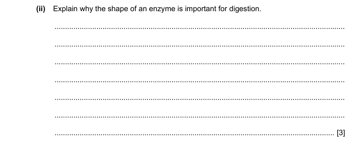 Specimen Paper 4, question 5(b)(ii): Explain why the shape of an enzyme is important for digestion. [3]