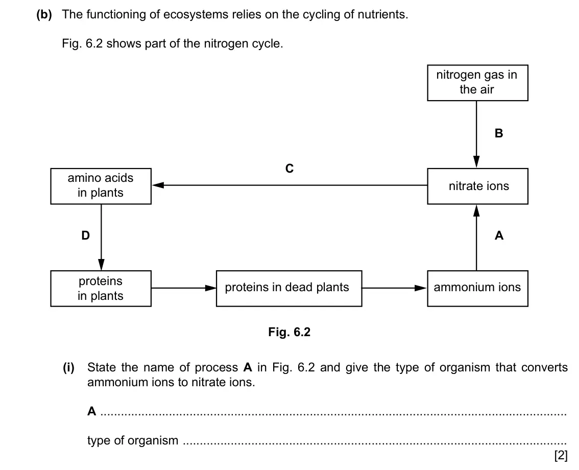 Specimen Paper 4, question 6(b)(i): State the name of process A in Fig. 6.2 and give the type of organism that converts ammonium ions to nitrate ions. A type of organism [2]
