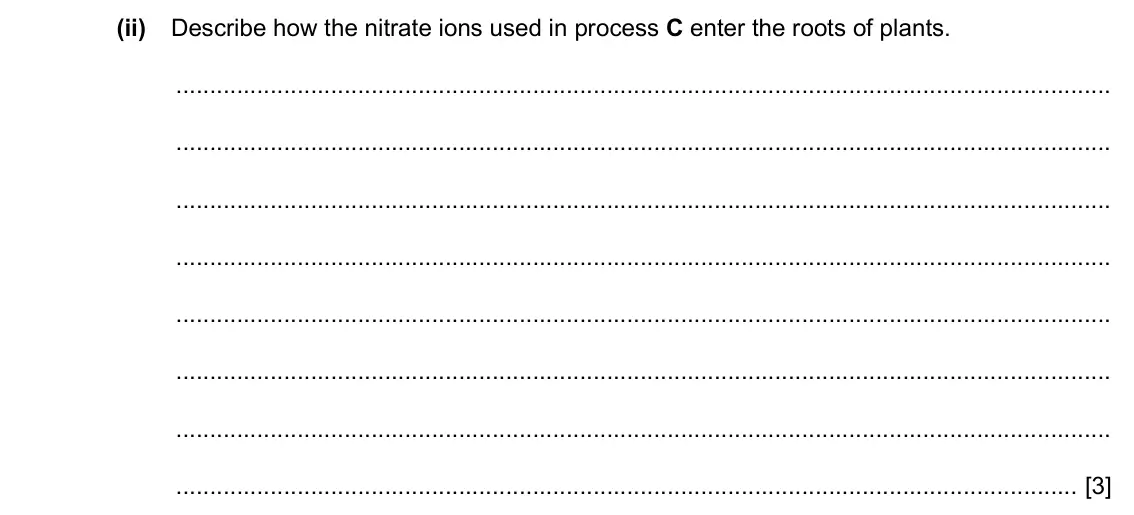Specimen Paper 4, question 6(b)(ii): Describe how the nitrate ions used in process C enter the roots of plants. [3]