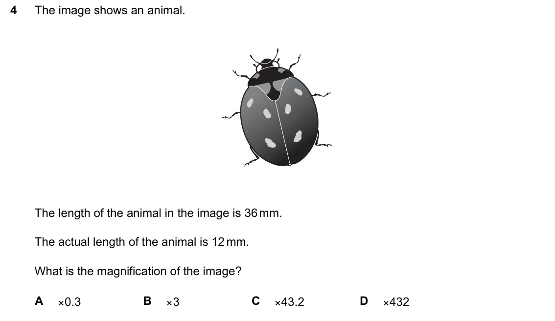 June 2024 Paper 1, question 4: The image shows an animal. The length of the animal in the image is 36 mm. The actual length of the animal is 12 mm. What is the magnification of the image? A ×