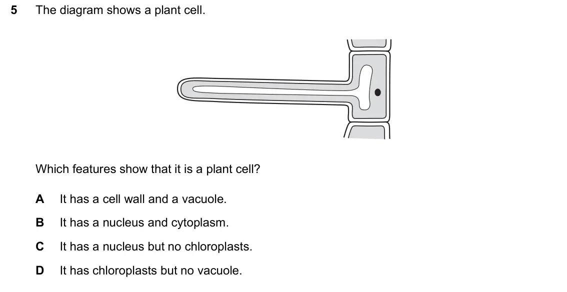 June 2024 Paper 1, question 5: The diagram shows a plant cell. Which features show that it is a plant cell? A It has a cell wall and a vacuole. B It has a nucleus and cytoplasm. C It has a nu