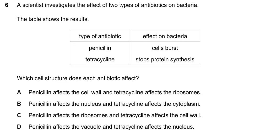 June 2024 Paper 1, question 6: A scientist investigates the effect of two types of antibiotics on bacteria. The table shows the results. type of antibiotic effect on bacteria penicillin cells