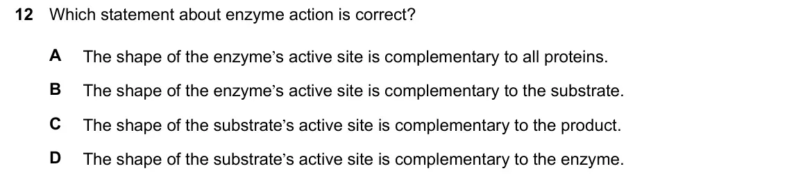 June 2024 Paper 1, question 12: Which statement about enzyme action is correct? A The shape of the enzyme’s active site is complementary to all proteins. B The shape of the enzyme’s active sit