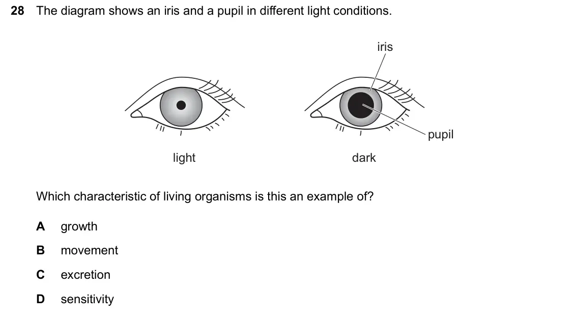 June 2024 Paper 1, question 28: The diagram shows an iris and a pupil in different light conditions. iris pupil light dark Which characteristic of living organisms is this an example of? A gro