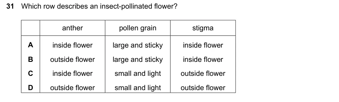 June 2024 Paper 1, question 31: Which row describes an insect-pollinated flower? anther pollen grain stigma A inside flower large and sticky inside flower B outside flower large and sticky ins