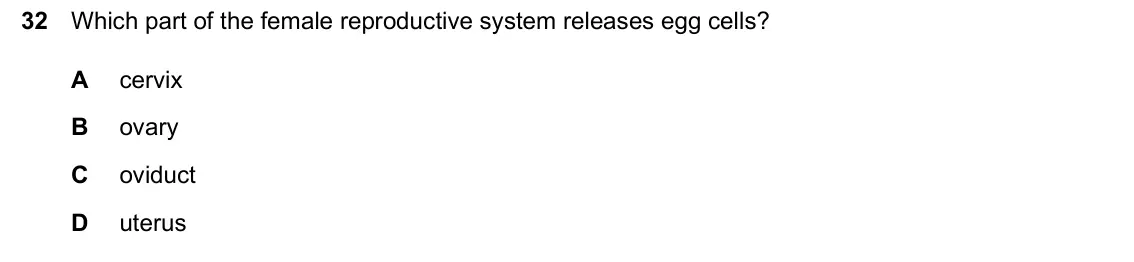 June 2024 Paper 1, question 32: Which part of the female reproductive system releases egg cells? A cervix B ovary C oviduct D uterus