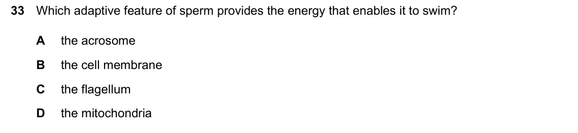 June 2024 Paper 1, question 33: Which adaptive feature of sperm provides the energy that enables it to swim? A the acrosome B the cell membrane C the flagellum D the mitochondria