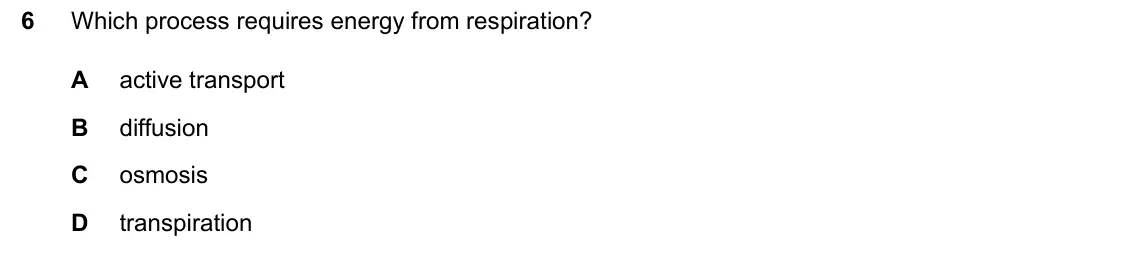 June 2024 Paper 2, question 6: Which process requires energy from respiration? A active transport B diffusion C osmosis D transpiration