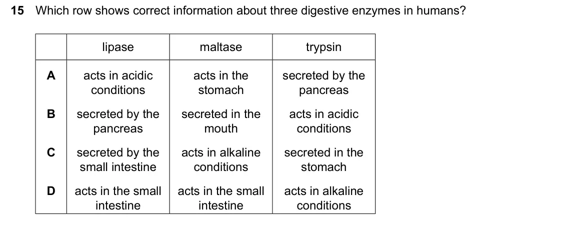 June 2024 Paper 2, question 15: Which row shows correct information about three digestive enzymes in humans? lipase maltase trypsin A acts in acidic acts in the secreted by the conditions stom