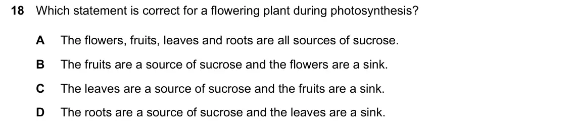 June 2024 Paper 2, question 18: Which statement is correct for a flowering plant during photosynthesis? A The flowers, fruits, leaves and roots are all sources of sucrose. B The fruits are a s
