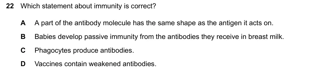 June 2024 Paper 2, question 22: Which statement about immunity is correct? A A part of the antibody molecule has the same shape as the antigen it acts on. B Babies develop passive immunity fro